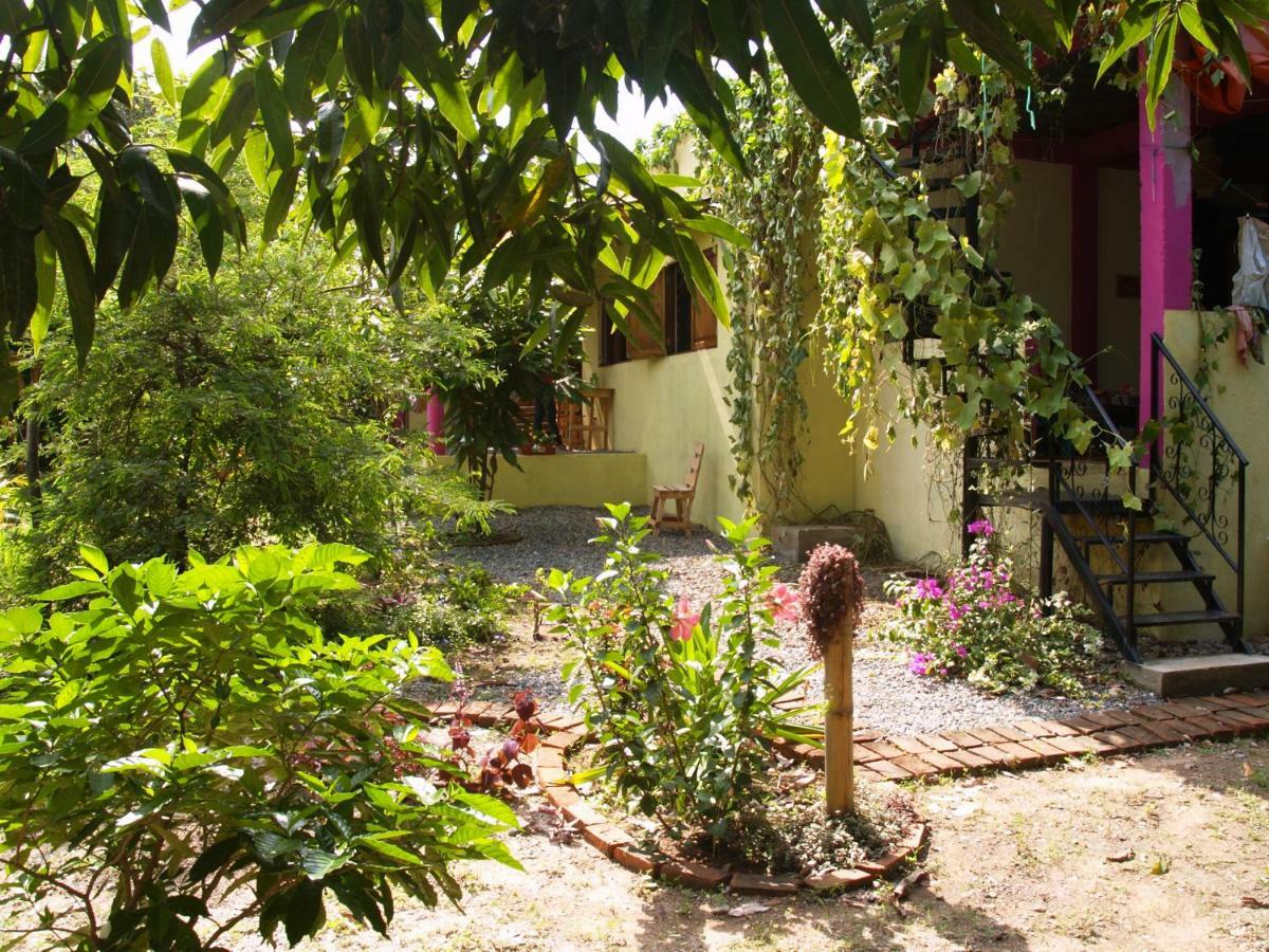 Sistarasta Hotel Palomino Exterior foto